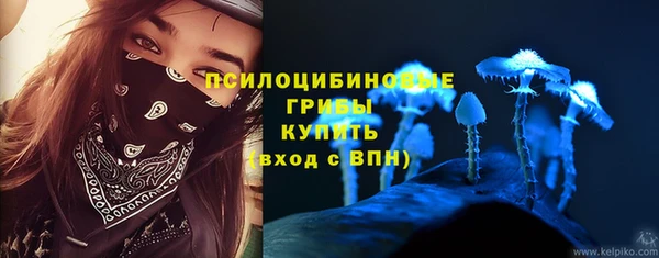 твердый Приозерск