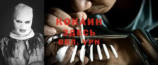 мяу мяу мука Пролетарск
