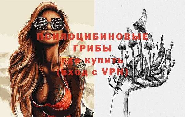 амф Протвино