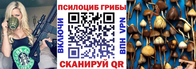 Псилоцибиновые грибы ЛСД  Купить где  Электросталь